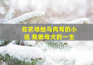 在农场给马肉写的小说 我做母犬的一生